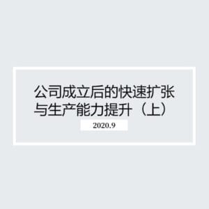 公司成立后的快速扩张与生产能力提升(上)